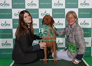 Crufts 2022
