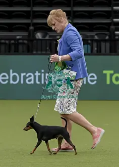 Crufts 2022