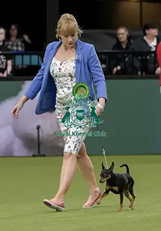 Crufts 2022