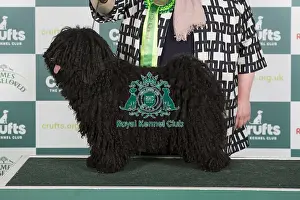 Crufts 2024 Best of Breed stacked 12937 - Matyofoldi-Kisbojtar Juliska Erzsike Ejw23 Int/nl/dk/be Jch (Mrs W & Ms K Koot-Van Oosten & Van Rijn)