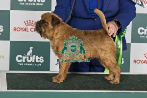 Crufts 2024 Best of Breed stacked Zilcan Monkey Business Owners: Mr M, Mrs C & Miss F Selby, Allen & Whithead