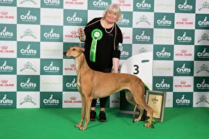 Crufts 2024 Best in Group Hound 3rd Place Greyhound Ch/it Ch/es Ch Sobers Geraldine Al Jch Owners: Mrs B & Mr P Ahrens & Primavera