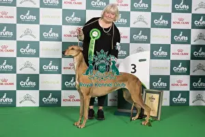 Crufts 2024 Best in Group Hound 3rd Place Greyhound Ch/it Ch/es Ch Sobers Geraldine Al Jch Owners: Mrs B & Mr P Ahrens & Primavera