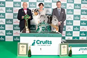 Crufts 2024 Best in Group stacked 1st place 11608 - Ch Brighttouch Drift The Line Through Dialynne (Imp Rus) (Mrs M, Mr J & Mrs K Raymond, Shaw & Kirtley)