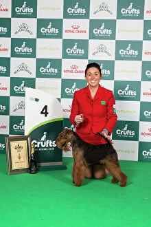 Crufts 2024 Best in Group Terrier 4th Place Welsh Terrier 16146 - Ch Perrisblu The Phantom, Breed: Welsh Terrier (Ms C Cole)
