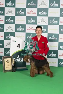 Crufts 2024 Best in Group Terrier 4th Place Welsh Terrier 16146 - Ch Perrisblu The Phantom, Breed: Welsh Terrier (Ms C Cole)
