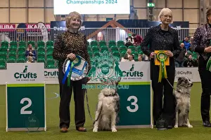Crufts 2024 Official photos by Robert Simpson, RKC102318