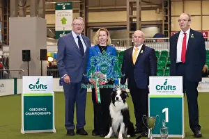 Crufts 2024 Official photos by Robert Simpson, RKC102312