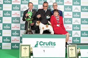 Crufts 2024 Terrier Group winner 1st Jack Russell Terrier 15119 - Multi Ch Original Master's Voice Lovesong Monamour, Breed: Jack Russell Terrier (Ms Kao Miichi)