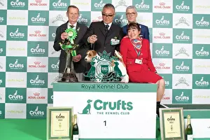 Crufts 2024 Terrier Group winner 1st Jack Russell Terrier 15119 - Multi Ch Original Master's Voice Lovesong Monamour, Breed: Jack Russell Terrier (Ms Kao Miichi)