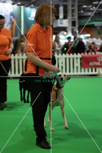 CRUFTS 2024- Thursday