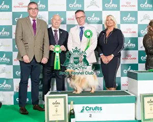 Crufts 2024 - Utility Group 2 Ch Castafiore Riddhima Owners Mr A & Mr L Moran & Prouve