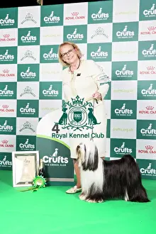 Crufts 2024 Best In Group Stacked Presentation Photos Prints: Crufts 2024 - Utility Group 4 Am Gchg Barnstorm One Chance Fancy by Dzine Owners