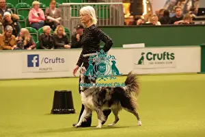 Dogs Prints: Crufts 2025