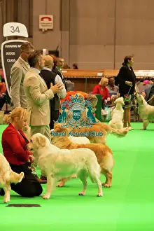 Dogs Prints: Crufts 2025