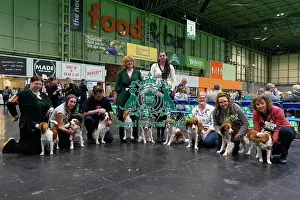 Hall 1 Prints: Crufts 2025 Friday