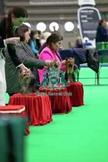 Happy Prints: Crufts 2025 Friday