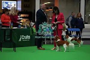 Judge Prints: Crufts 2025 Friday