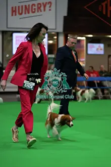 Judge Prints: Crufts 2025 Friday