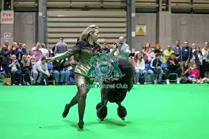 Happy Prints: Crufts 2025 Friday