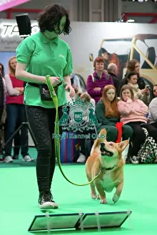 Crufts 2025, Friday 7th March - Have a go Rally