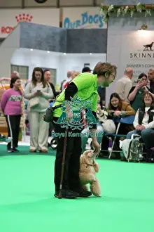 Poodle Prints: Crufts 2025, Friday 7th March - Have a go Rally