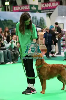 Golden Retriever Prints: Crufts 2025, Friday 7th March - Have a go Rally