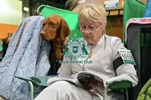 Dogs Prints: Crufts 2025 Saturday