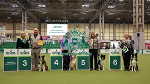 Crufts 2026 Obedience Prints: Crufts 2026 Obedience Championship Bitches Sunday 8th March