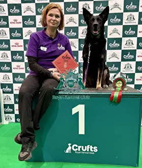 German Shepherd Dog Prints: Crufts 2026 Obedience, Crufts 2026 Rally