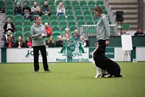 Crufts 2026 Obedience Prints: Crufts 2026 Obedience, RKC128185