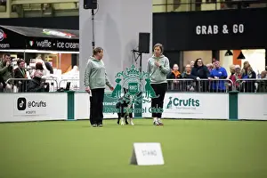 Crufts 2026 Obedience Prints: Crufts 2026 Obedience, RKC128187