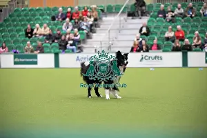 Crufts 2026 Obedience Prints: Crufts 2026 Obedience, RKC128190