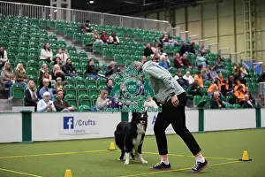 Crufts 2026 Obedience Prints: Crufts 2026 Obedience, RKC128192