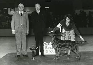 Collections: Crufts 1980s