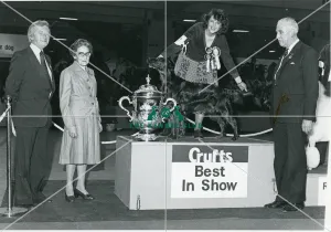 Crufts Best in Show 1981