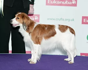 Collections: Crufts 2012