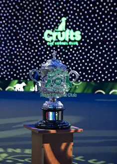 Best In Show Prints: The Crufts Best in Show Keddell Memorial trophy