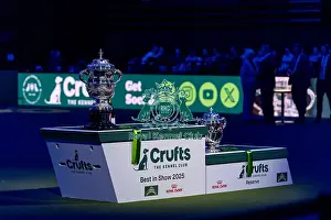 The Crufts Best in Show Keddell Memorial trophy with the Reserve trophy