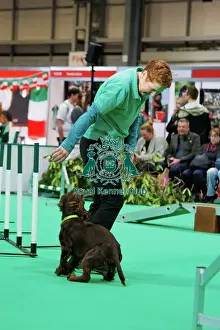 Have A Go Prints: Crufts Friday 7th March 2025 - Have a go Agility