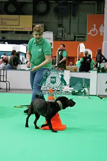 Have A Go Prints: Crufts Friday 7th March 2025 - Have a go Agility