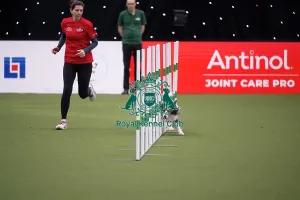 Crufts 2026 Agility Prints: Crufts Novice Cup Agility Final