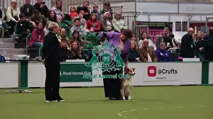 Crufts 2026 Obedience Prints: Crufts Obedience Championship Bitches - Crufts 2026 Crufts Obedience Championship Bitches - Crufts 2026