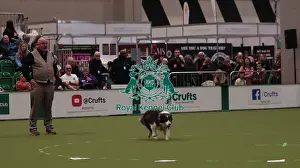 Crufts 2026 Obedience Prints: Crufts Obedience Championship Bitches Sunday 8th March 2026