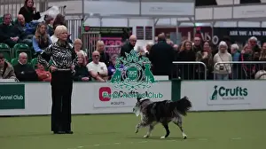 Crufts 2026 Obedience Prints: Crufts Obedience Championship Bitches Sunday 8th March 2026