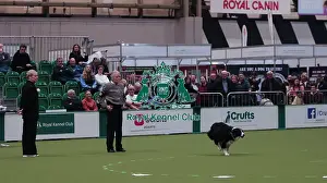 Crufts 2026 Obedience Prints: Crufts Obedience Championship Bitches Sunday 8th March 2026