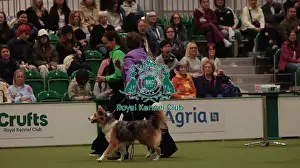 Crufts 2026 Obedience Prints: Crufts Obedience Championship Bitches Sunday 8th March 2026