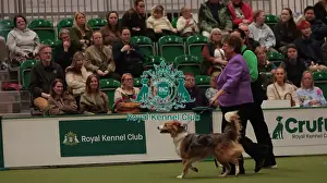 Crufts 2026 Obedience Prints: Crufts Obedience Championship Bitches Sunday 8th March 2026