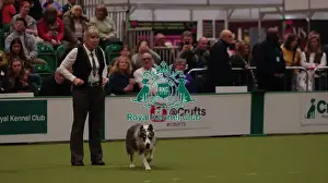 Crufts 2026 Obedience Prints: Crufts Obedience Championship Bitches Sunday 8th March 2026