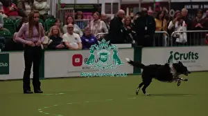 Crufts 2026 Obedience Prints: Crufts Obedience Championship Bitches Sunday 8th March 2026